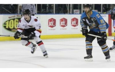 ICERAYS WIN SECOND STRAIGHT WITH 2-1 WIN OVER KILLER BEES