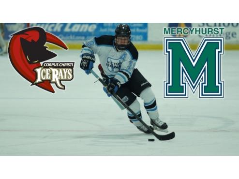 FUTURE ICERAYS FORWARD BRYER COMMITS TO MERCYHURST