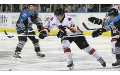 SCHMIDBAUER, SCHMIT LIFT KILLER BEES OVER ‘RAYS 3-0