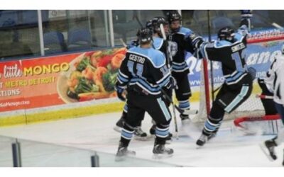 DEFENSEMAN GESTRO TENDERS WITH ‘RAYS; SET FOR NEXT SEASON