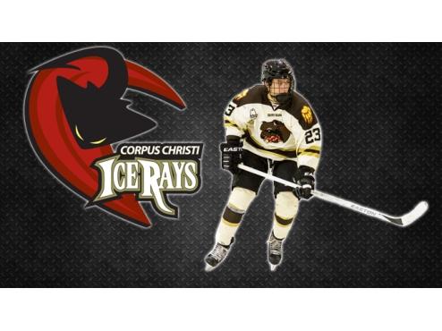 ICERAYS ACQUIRE FORWARD NATHAN COLWELL FROM KENAI RIVER