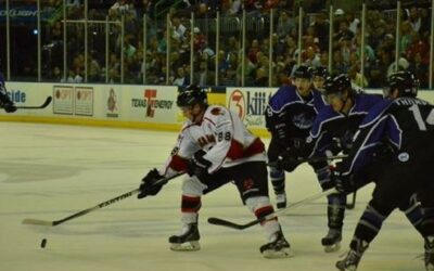 ICERAYS SWEEP WEEKEND WITH WIN OVER WILD, 2-1