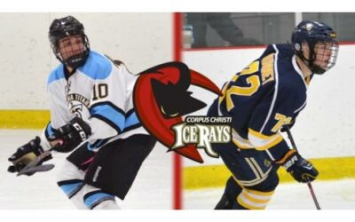 ICERAYS TENDER FORWARDS BORTOLOTTO AND QUINNEY