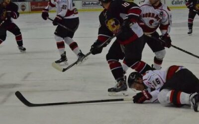 ICERAYS GUTTED BY WILDCATS, 7-1