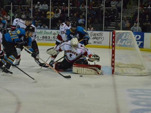 ICERAYS FALL TO KILLER BEES, 3-1