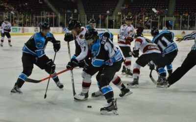 ICERAYS TAKEN DOWN BY WILD, 4-1