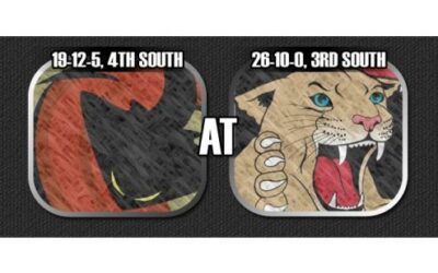 GAME PREVIEW – ICERAYS @ WILDCATS (GAME #37)