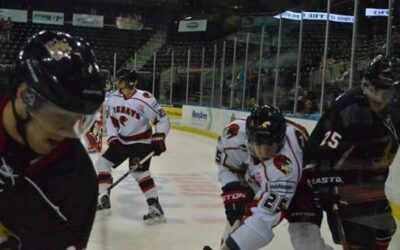 ICERAYS EDGED BY WILDCATS, 5-4