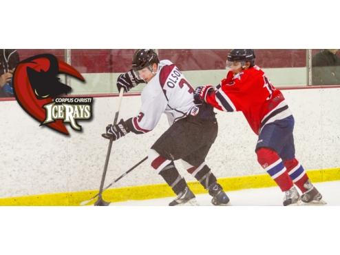 ICERAYS ACQUIRE DEFENSEMAN MATT OLSON FROM WILDERNESS