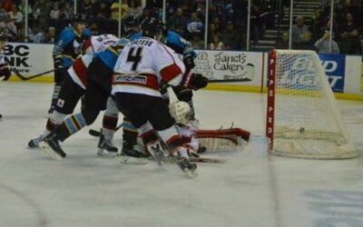 ICERAYS MUFFLED BY KILLER BEES, 4-1