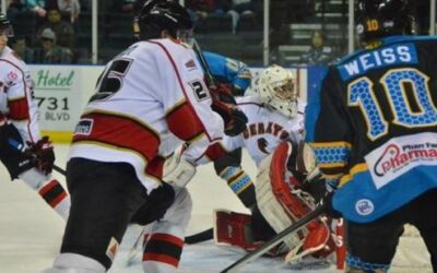 ICERAYS SLIP IN THIRD PERIOD, FALL 4-3 TO KILLER BEES