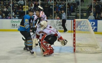 ICERAYS STUNG BY KILLER BEES, 7-3