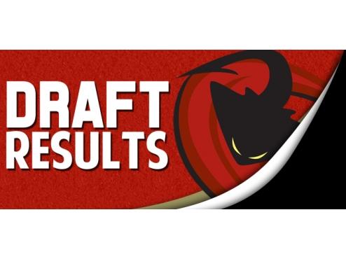 ICERAYS PICK 13 PLAYERS IN 2015 NAHL DRAFT