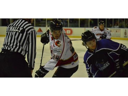 ICERAYS ANNOUNCE PRE-SEASON GAME AGAINST BRAHMAS