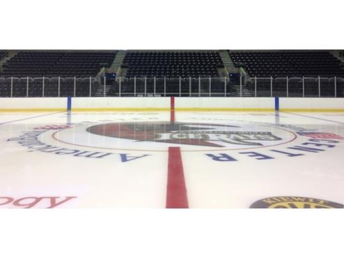 ICERAYS TRAINING CAMP BEGINS ON MONDAY