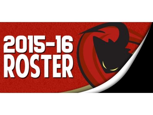 ICERAYS ANNOUNCE 2015-16 TRAINING CAMP ROSTER