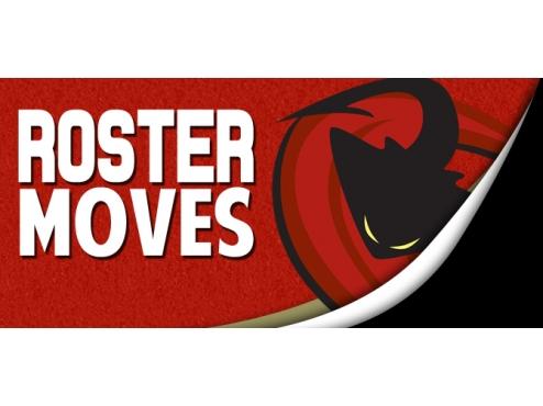 ICERAYS ANNOUNCE ROSTER MOVES