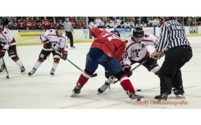 ICERAYS SWEPT BY WILDCATS, 7-1