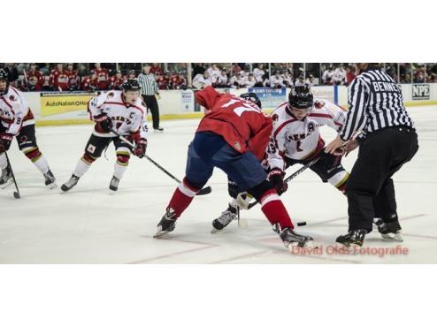 ICERAYS SWEPT BY WILDCATS, 7-1