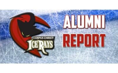 ICERAYS ALUMNI REPORT – VOL. 2, 2ND ED.