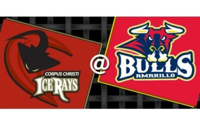PREVIEW: ICERAYS @ BULLS (GAME #11)