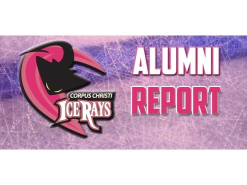 ICERAYS ALUMNI REPORT – VOL. 2, 3RD ED.