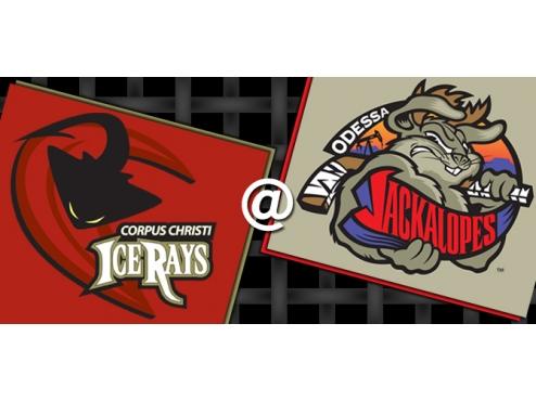 PREVIEW: ICERAYS @ JACKALOPES (GAME # 23)