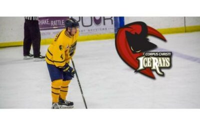 ICERAYS ACQUIRE DEFENSEMAN CODY LICHTENVOORT