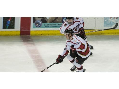 ICERAYS WIN STREAK ENDS WITH 6-2 LOSS TO WILDCATS