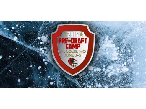 2016 ICERAYS PRE-DRAFT CAMP BEGINS IN TWO WEEKS