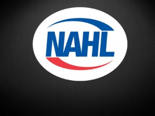 NAHL TO ALLOW FOUR IMPORT-PLAYERS