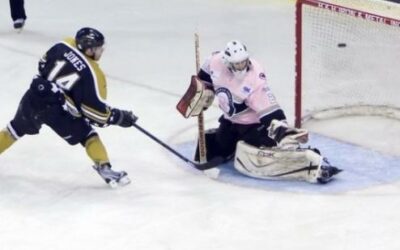 FORMER ICERAYS COPLEY WINS TOURNEY, MVP HONORS