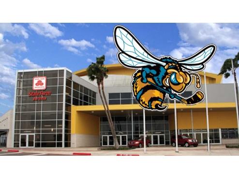 RIVALRY RENEWED: THE KILLER BEES ARE BACK