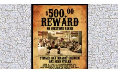 REWARD OFFERED: ICERAYS MASCOT UNIFORM STOLEN