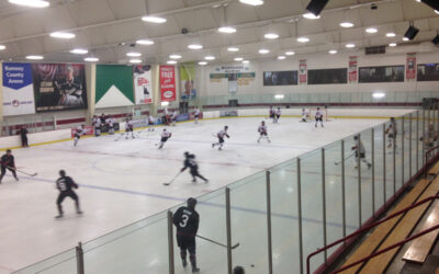 ICERAYS HELD OFF BY BLIZZARD IN 2-1 LOSS