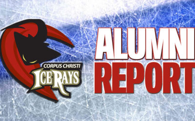 ICERAYS ALUMNI REPORT – VOL. III, 17TH ED.