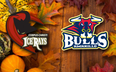 BUY-ONE, GET-ONE THANKSGIVING WEEKEND