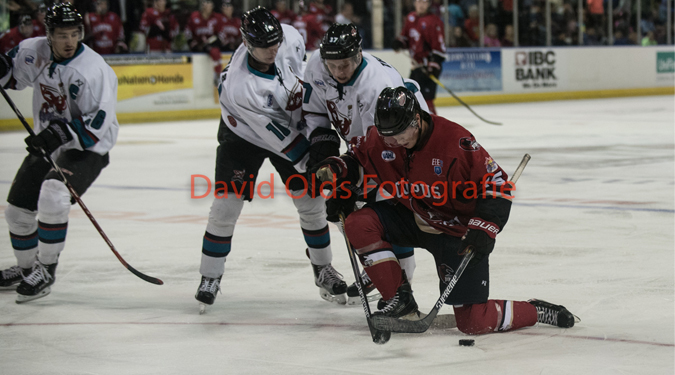 ICERAYS DROPPED IN 3-2 SHOOTOUT LOSS