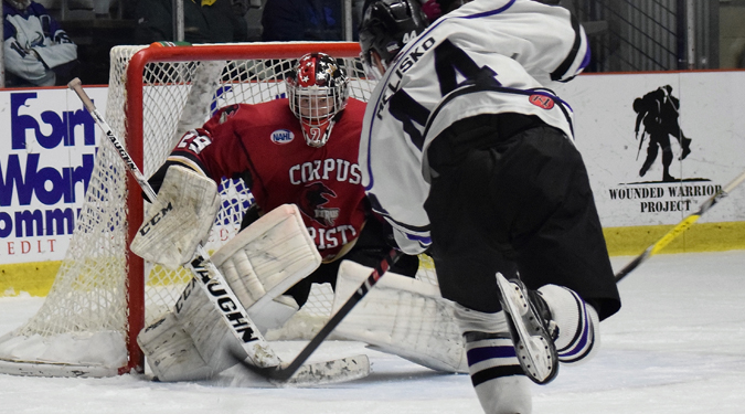 ICERAYS BLANK BRAHMAS 3-0 TO LEVEL THE SERIES, 1-1