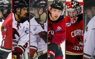 ICERAYS HONOR 2016-17 SEASON AWARD WINNERS