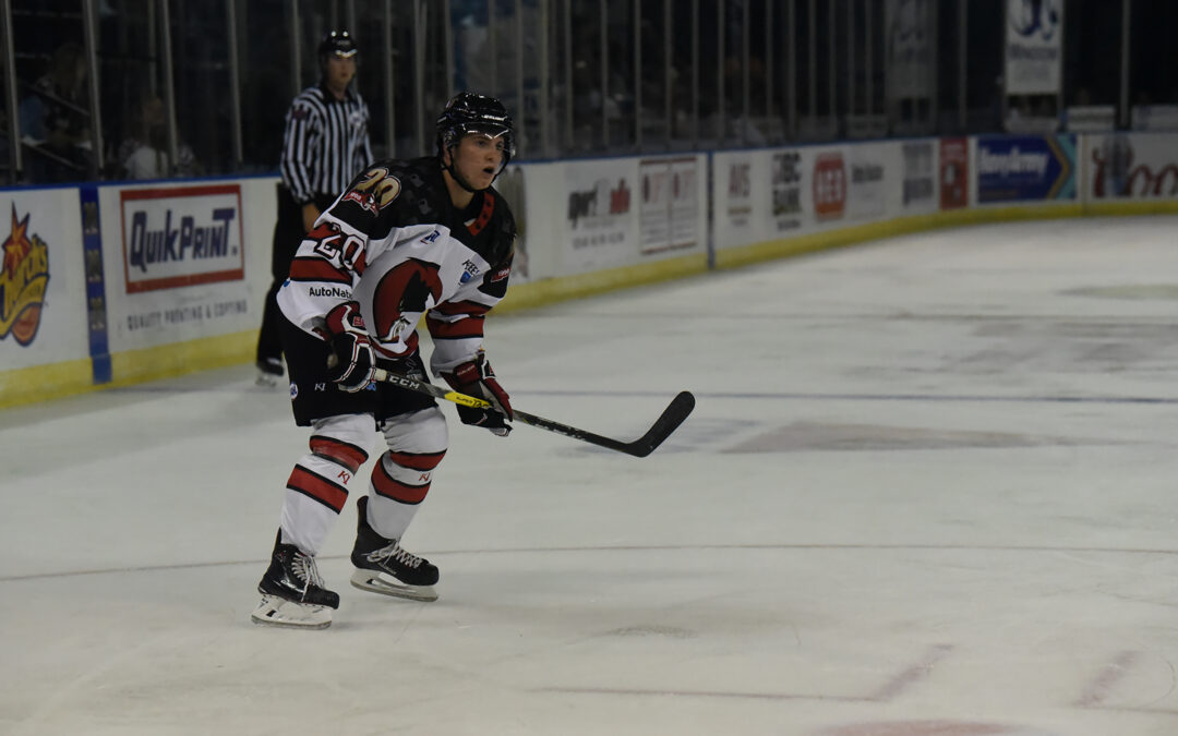 Preview: IceRays @ Amarillo Bulls (Game 15)