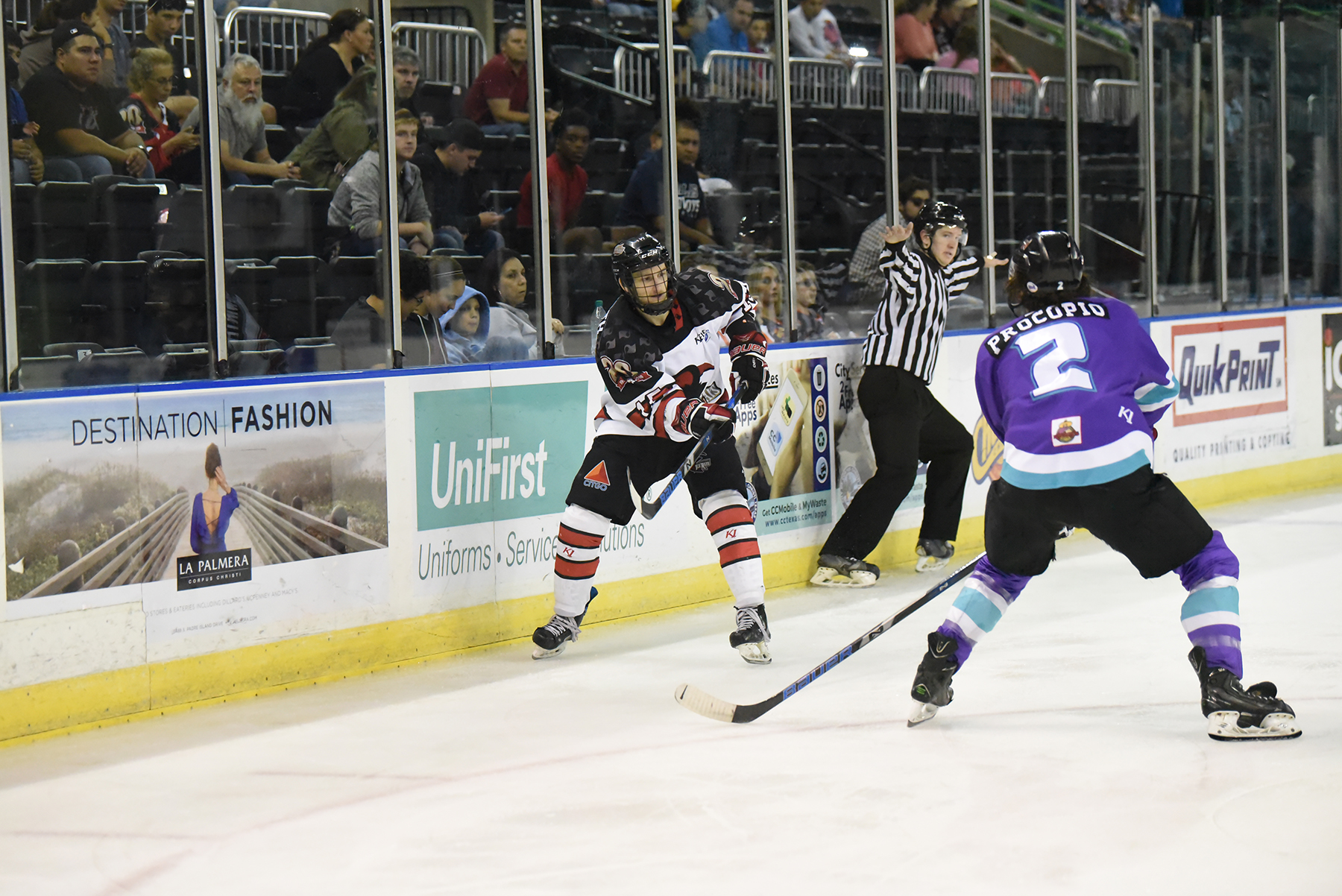 Mudbugs-IceRays2