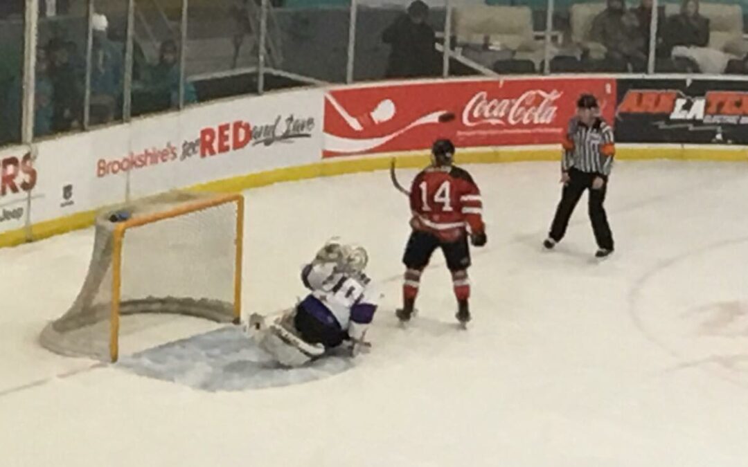 Rays Fall to Mudbugs in Shootout after Wild Affair
