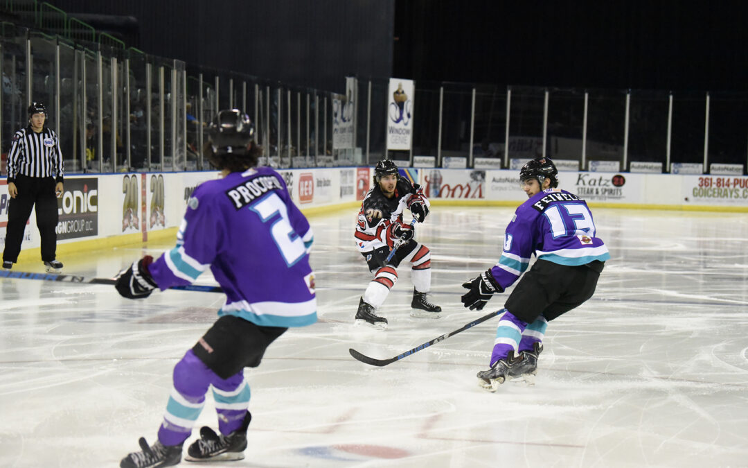 Acton Backstops IceRays to First Shutout of the Season
