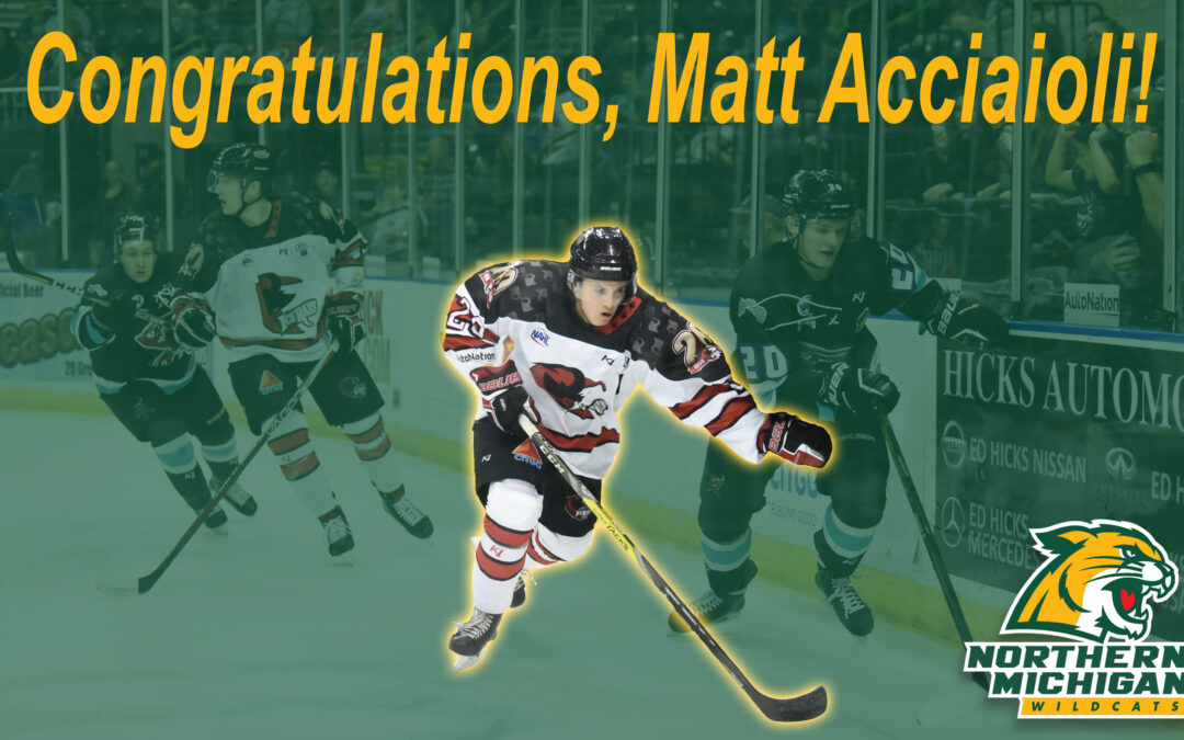 Acciaioli Commits to Northern Michigan University