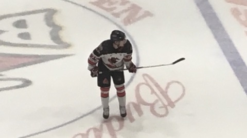 Bulls-IceRays4