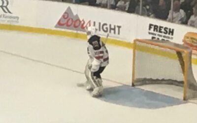 Veltri Dominates as Rays Sweep Mudbugs