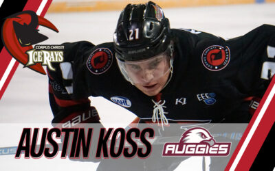 KOSS COMMITS TO AUGSBURG