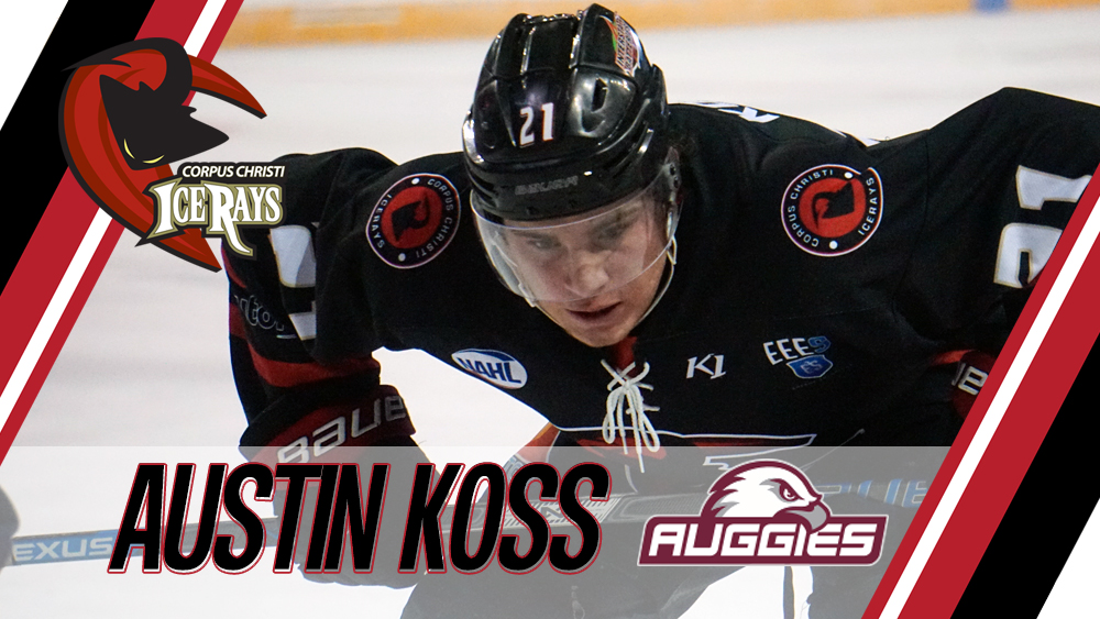 koss-commitment