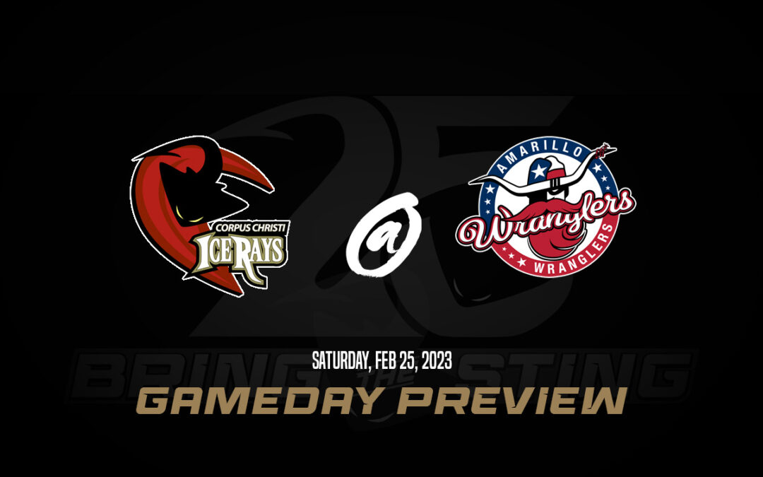 IceRays Look to Avenge OT Loss, Take 3 Points in Weekend Trip